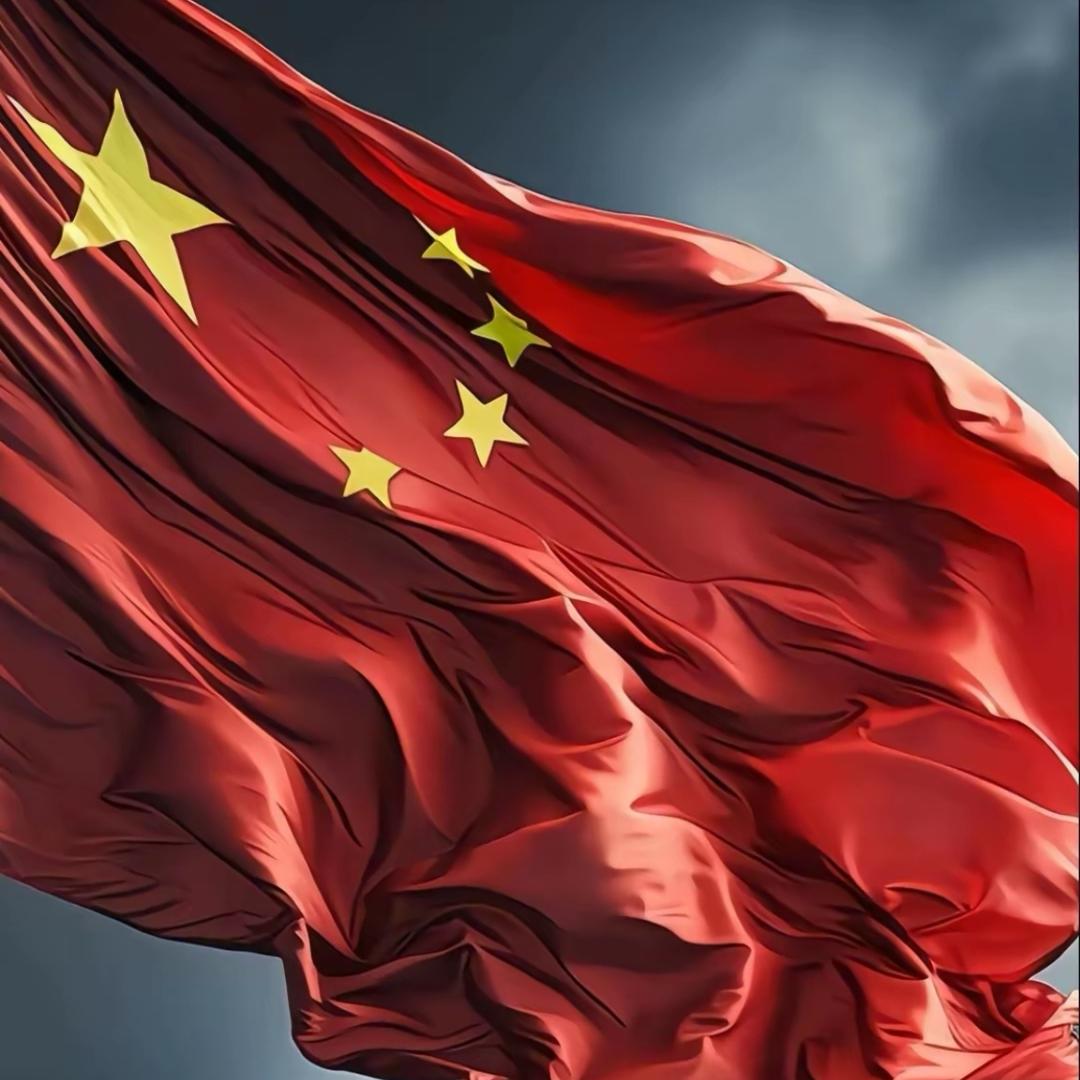 会 飞 的猪ᯤ⁵ᴳ