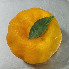 红红火火