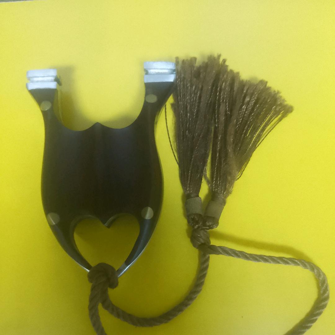 虎卧深山待狂风