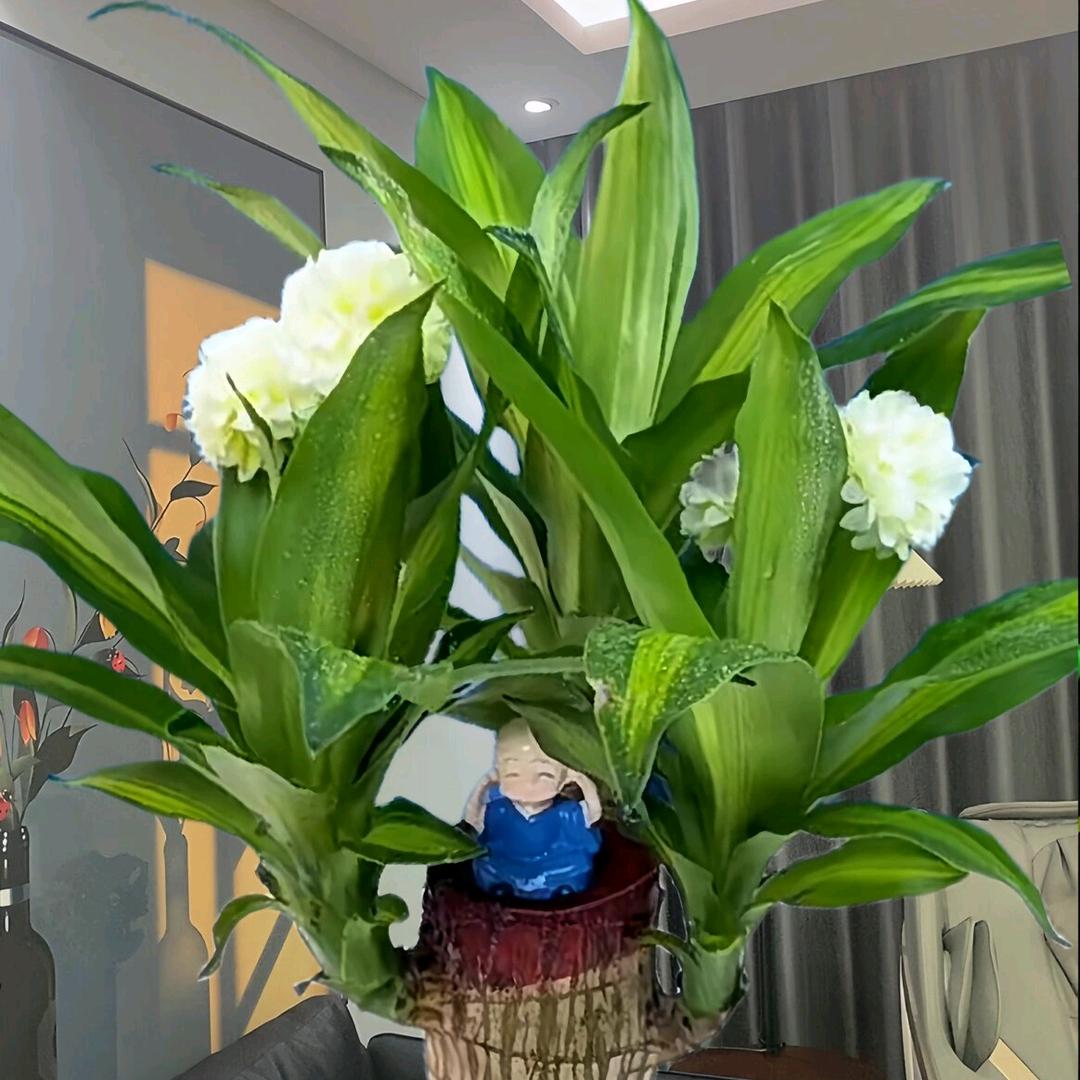二妹爱生活