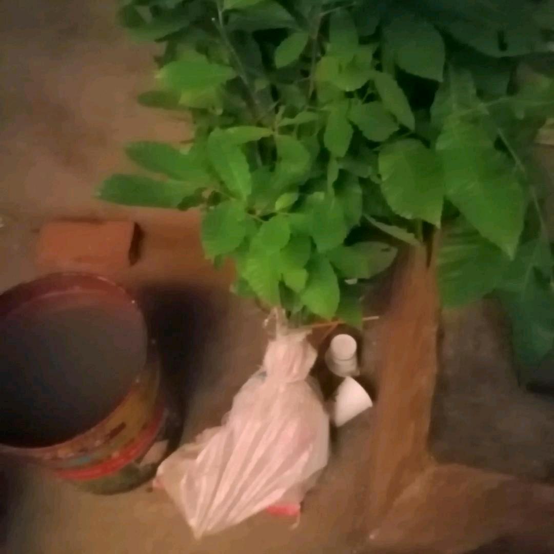美好的生活😊