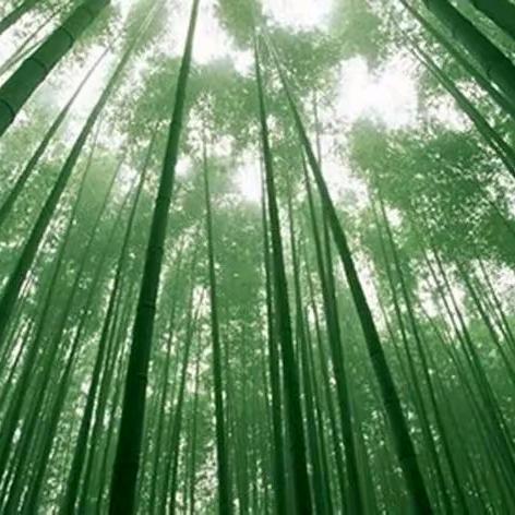 蒸蒸日上