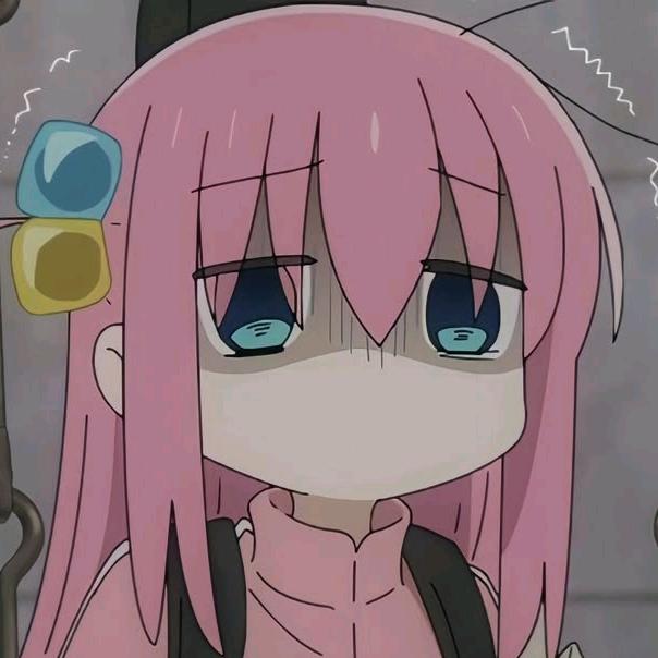 Bocchi