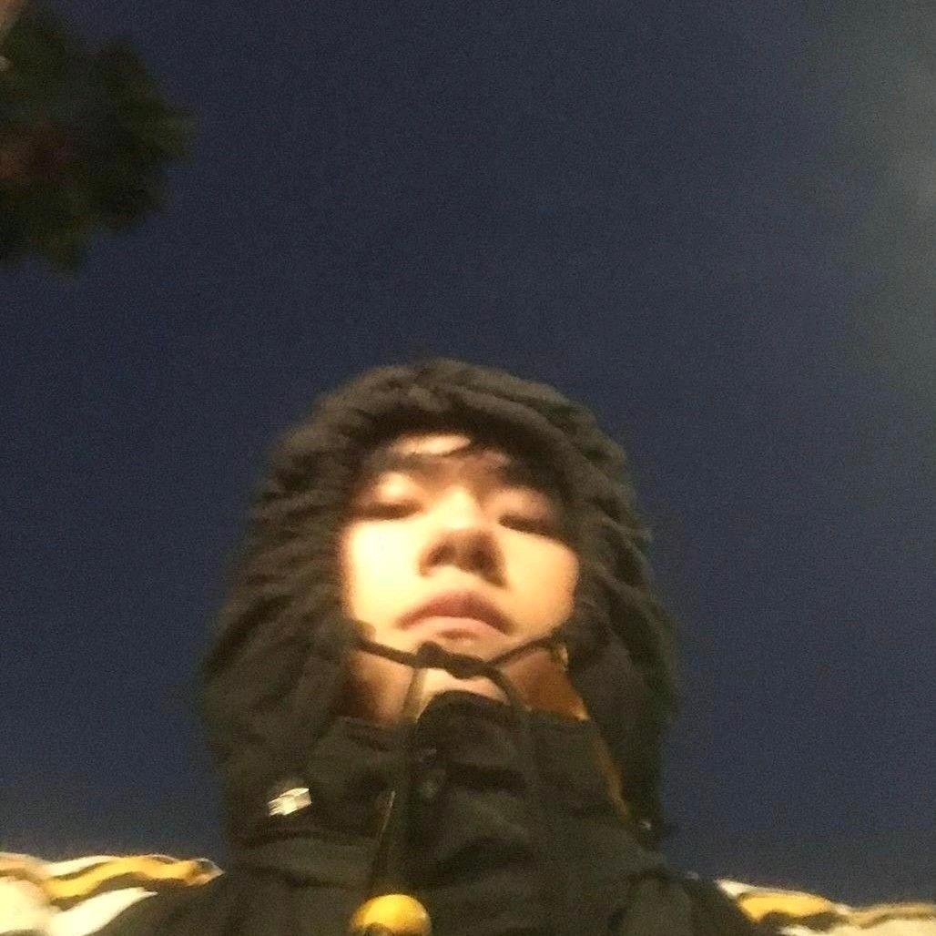 波力海苔