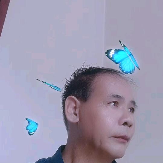 王海清