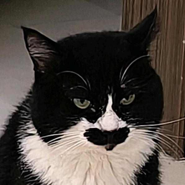 别光喝汤吃点菜