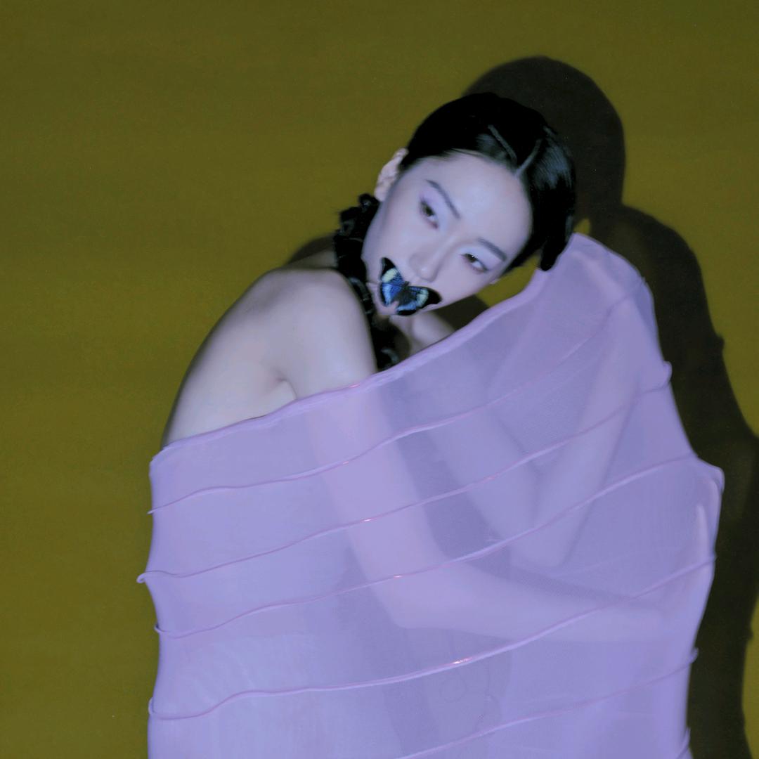一棵小左左