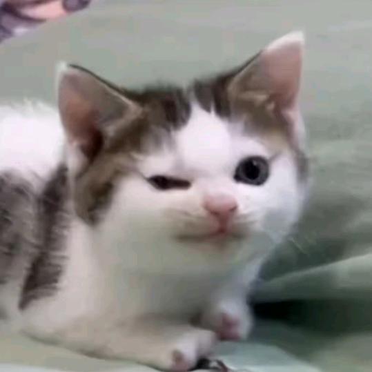 夏至日 ^ ^