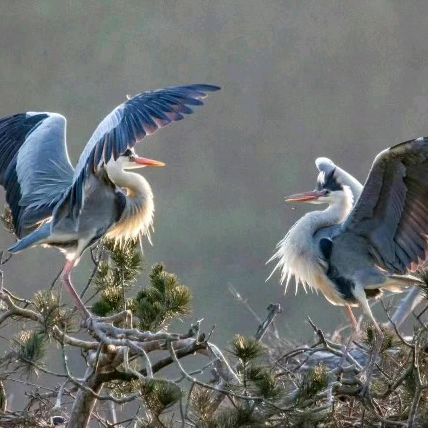 山沟沟的老家山沟沟的娃