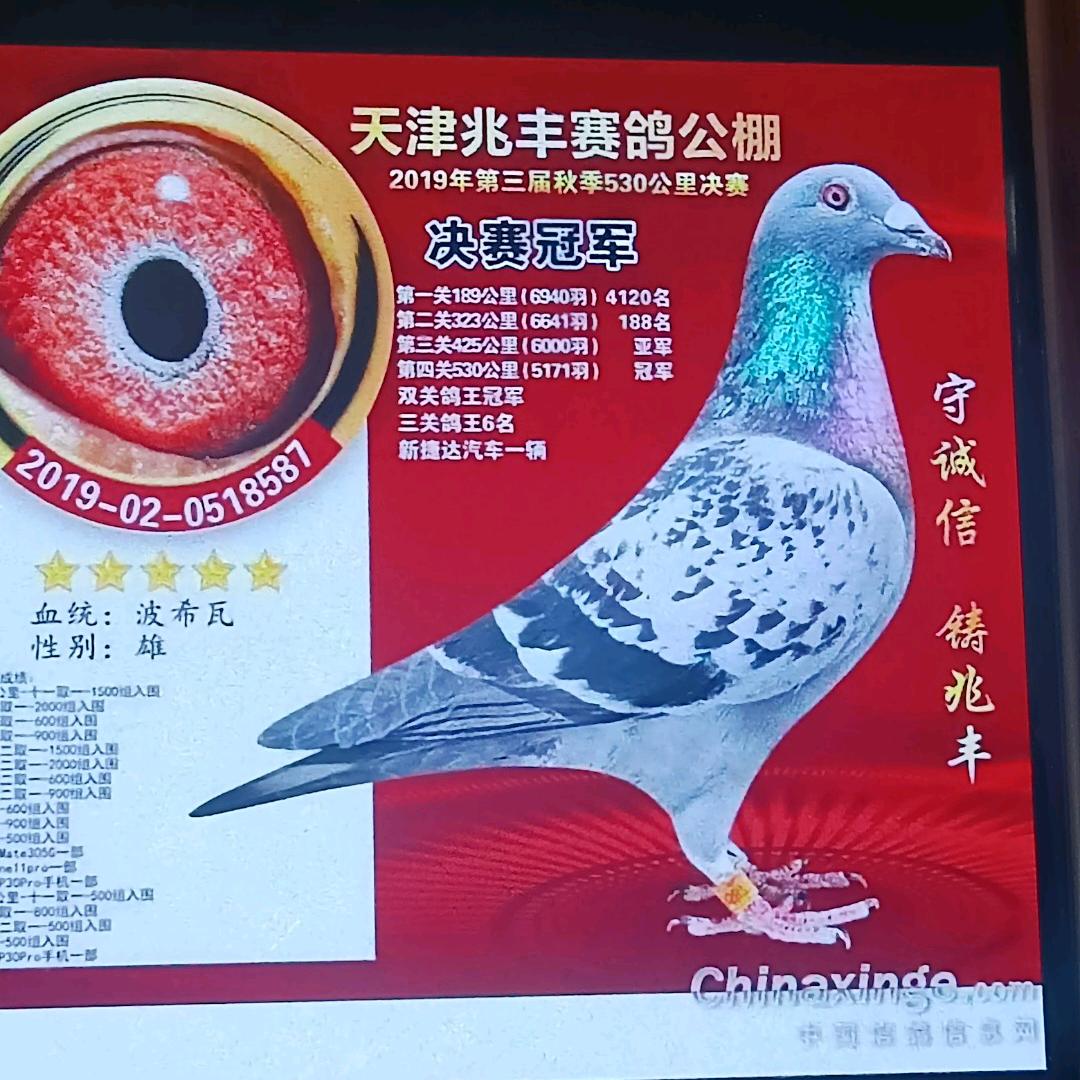 贝贝永住我心