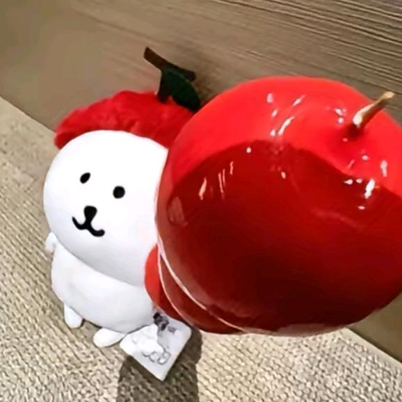 柒言安