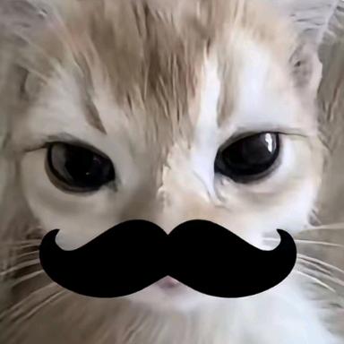 toot
