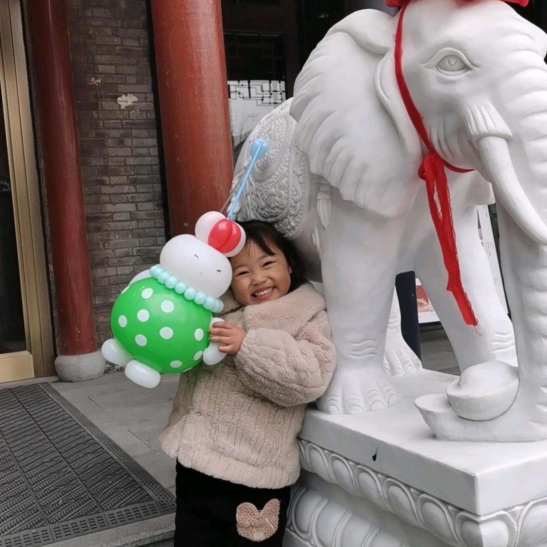老五的快乐生活