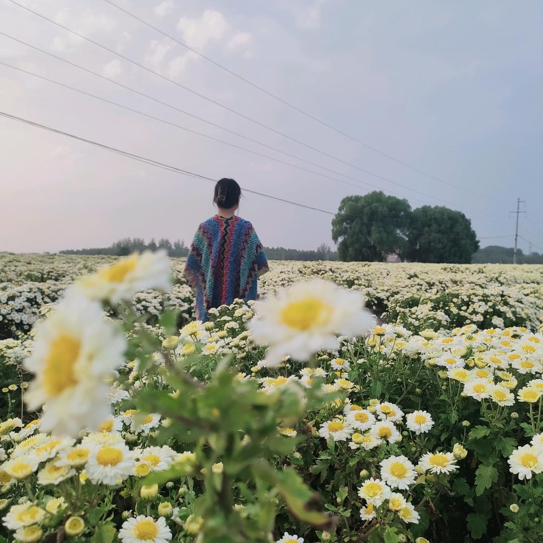 小助理福利号黯