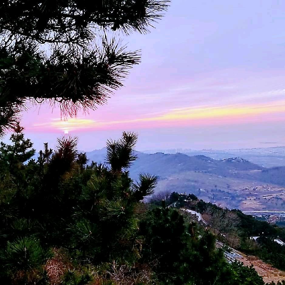 屿枫