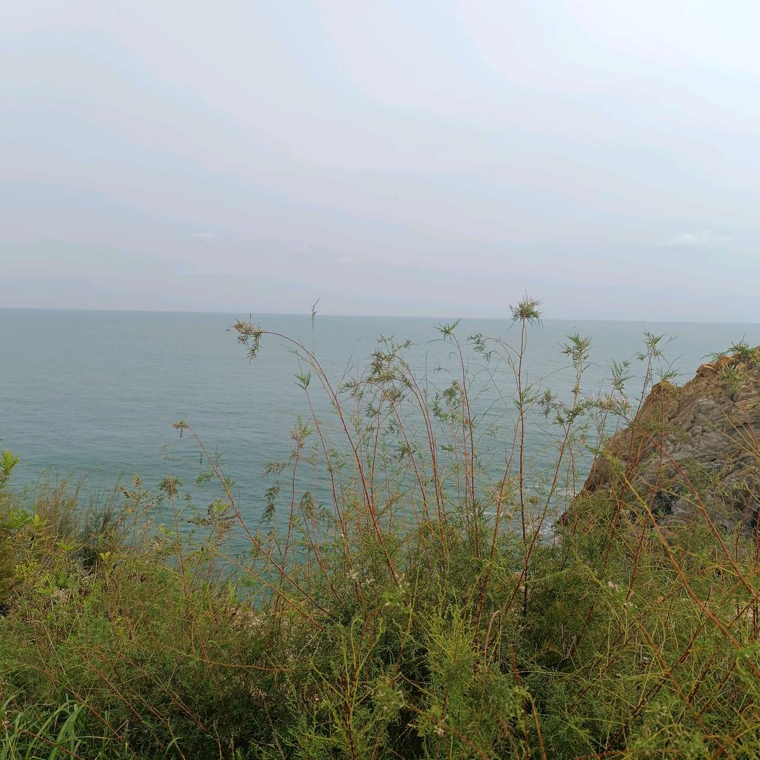 一生平安✨✨✨