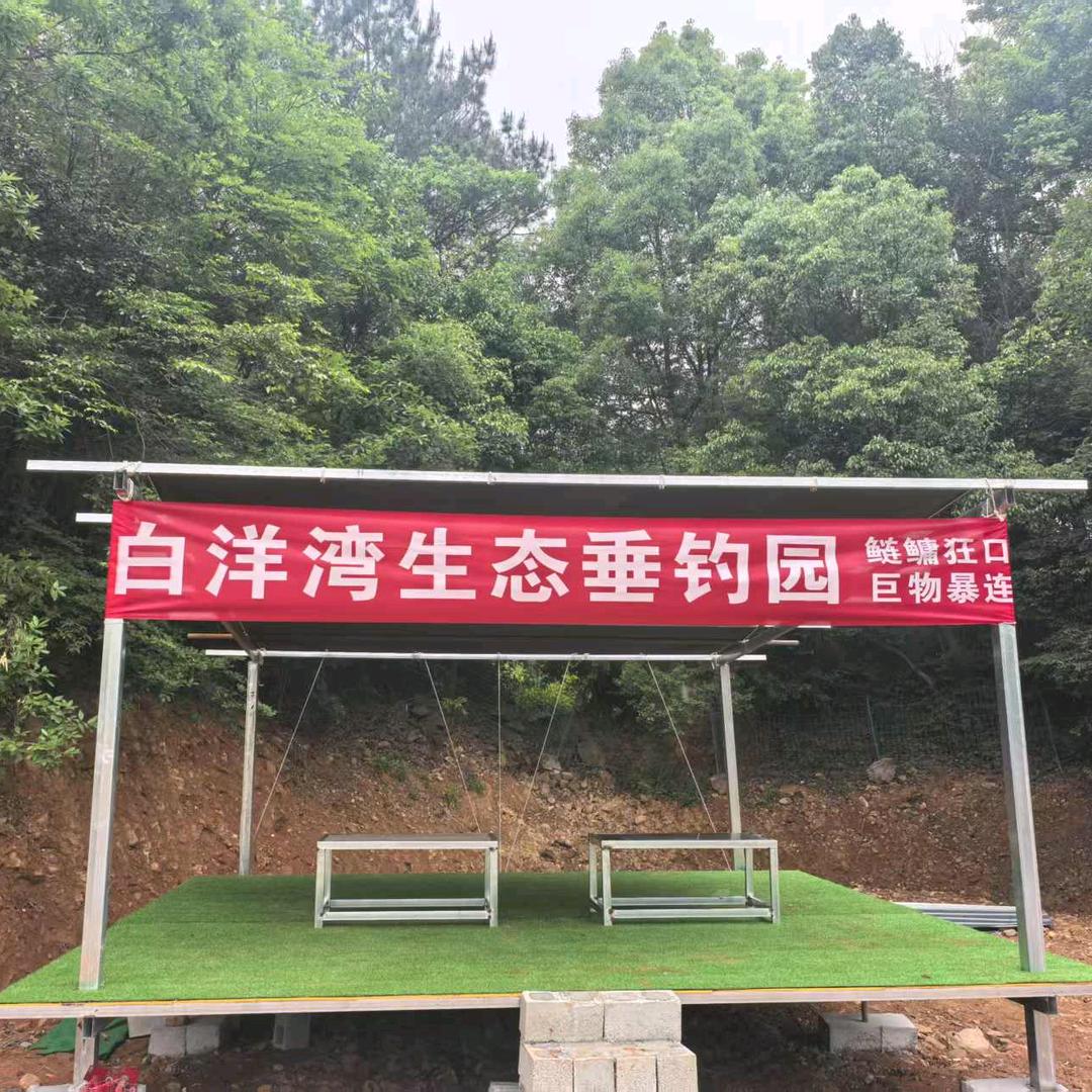白洋湾鲢鳙巨物钓场