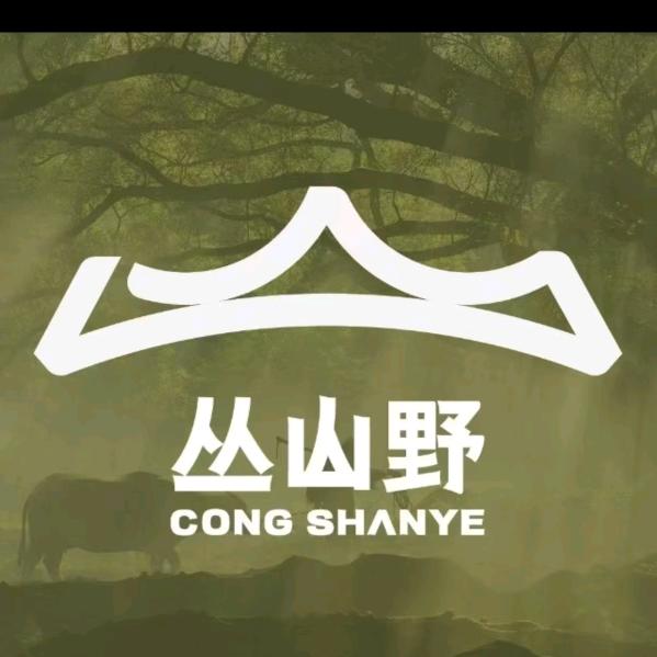 丛山野淮安吾悦店