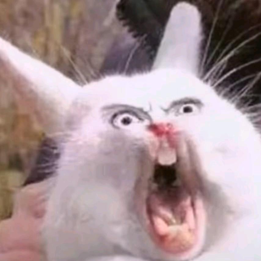 贵州本地土特产🌈🌈【发财版】