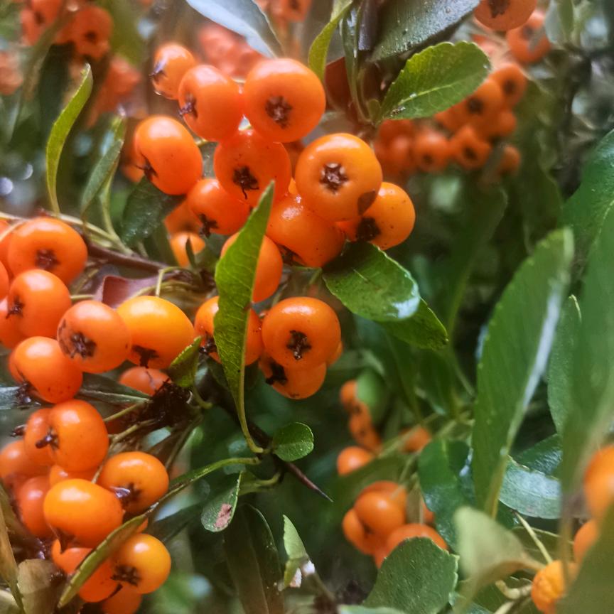 梦想成真🤓🤓