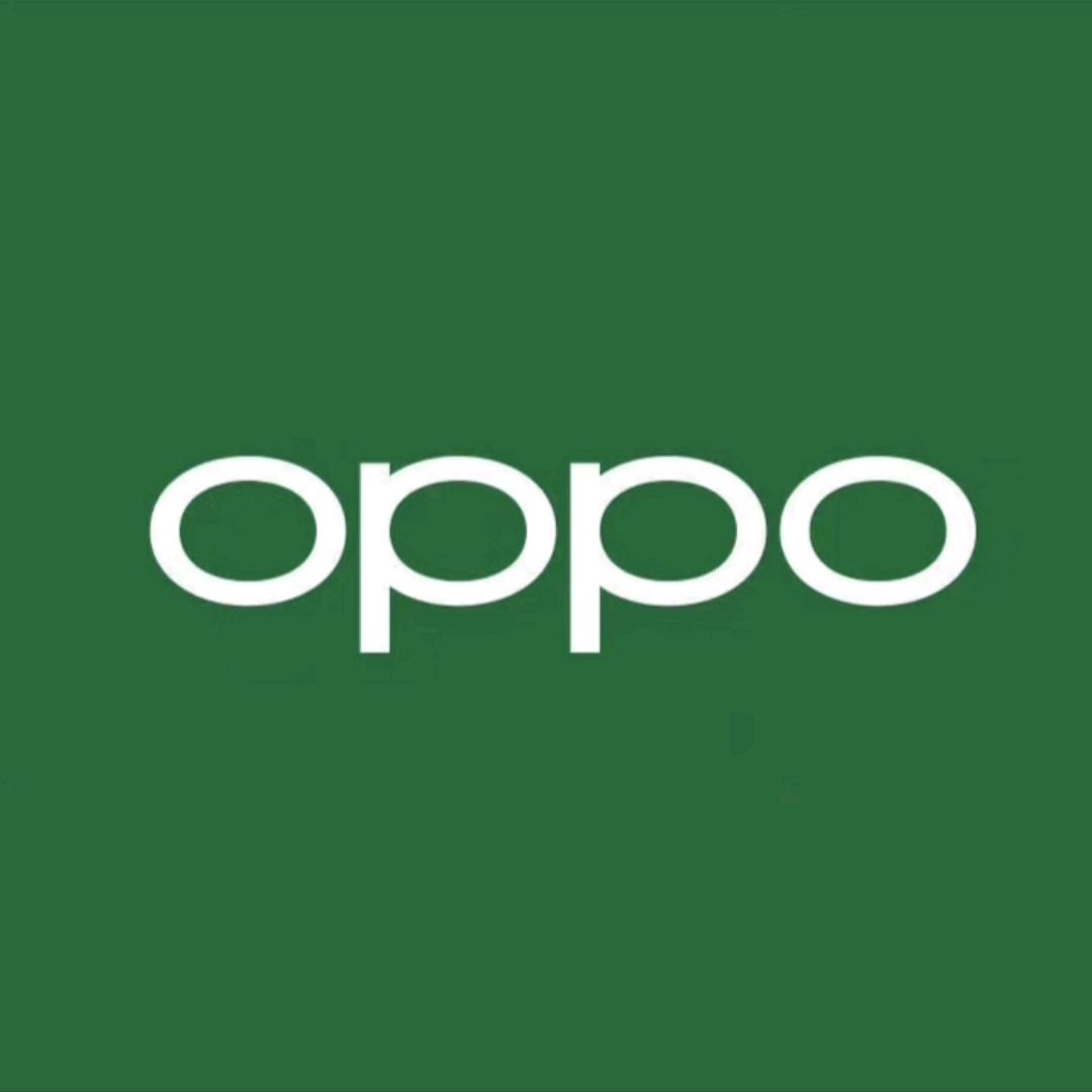 OPPO金楠天街体验店