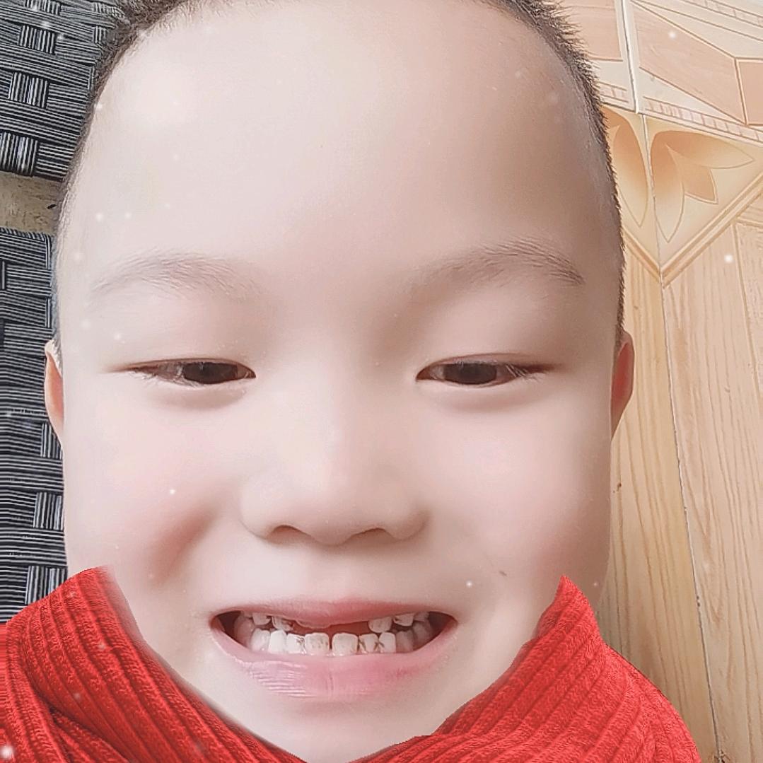 季宝宝