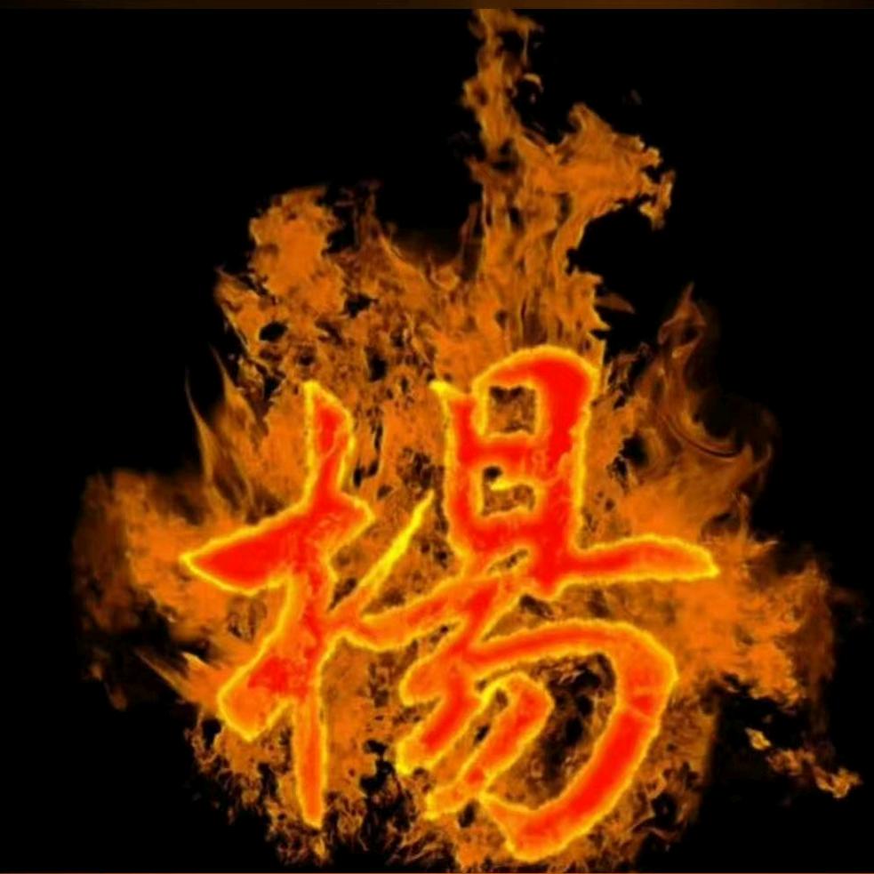 老杨