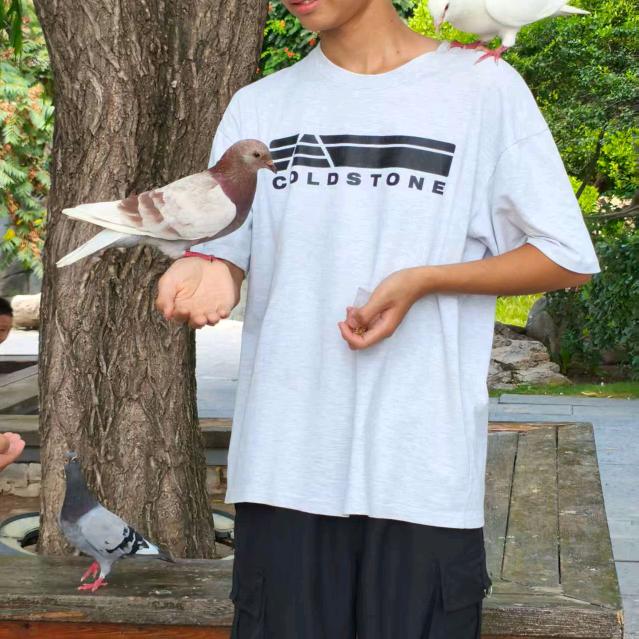 春光明媚