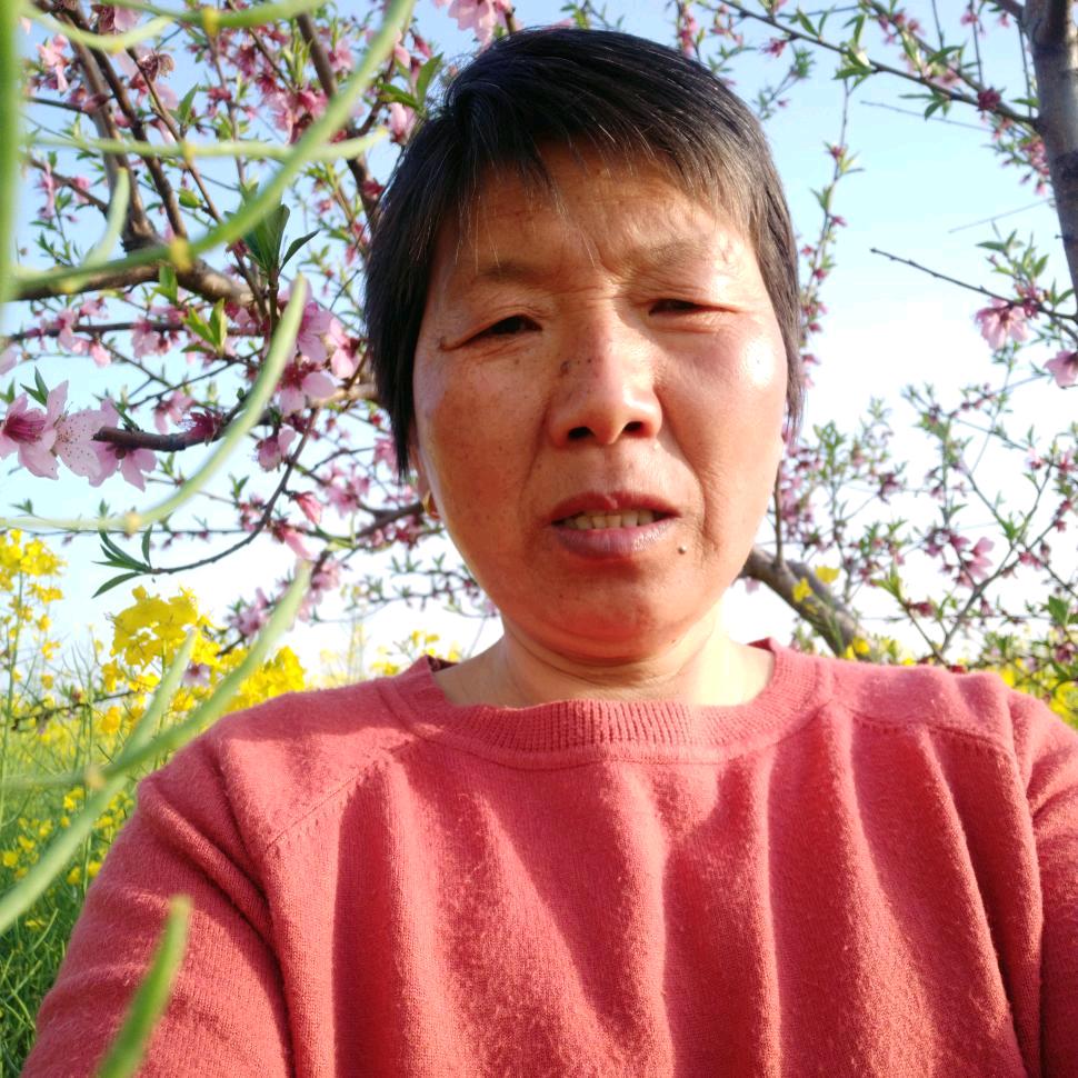 孙姐