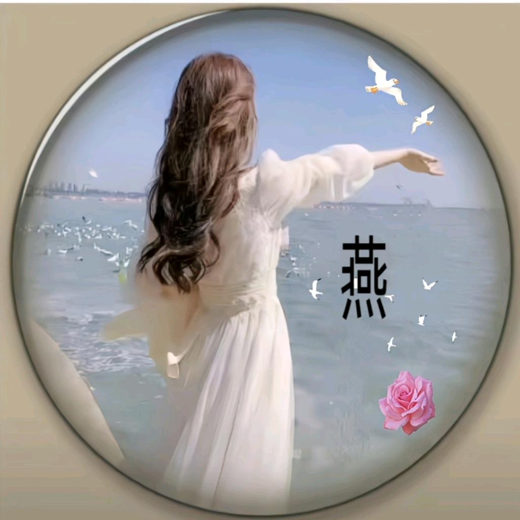 💞燕子💞