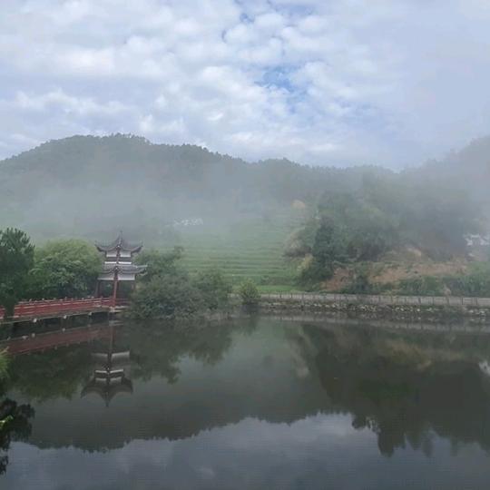 和尚来个洗剪吹