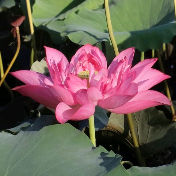 人生的真谛🦈🦅