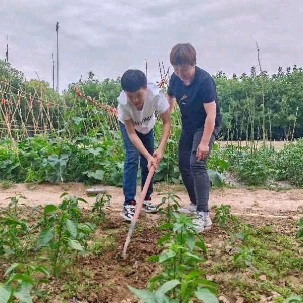 田缘守望