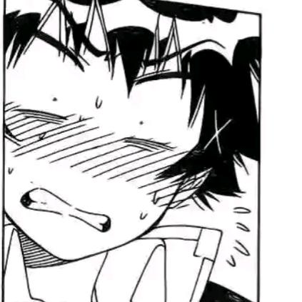 帅气无敌大老鼠