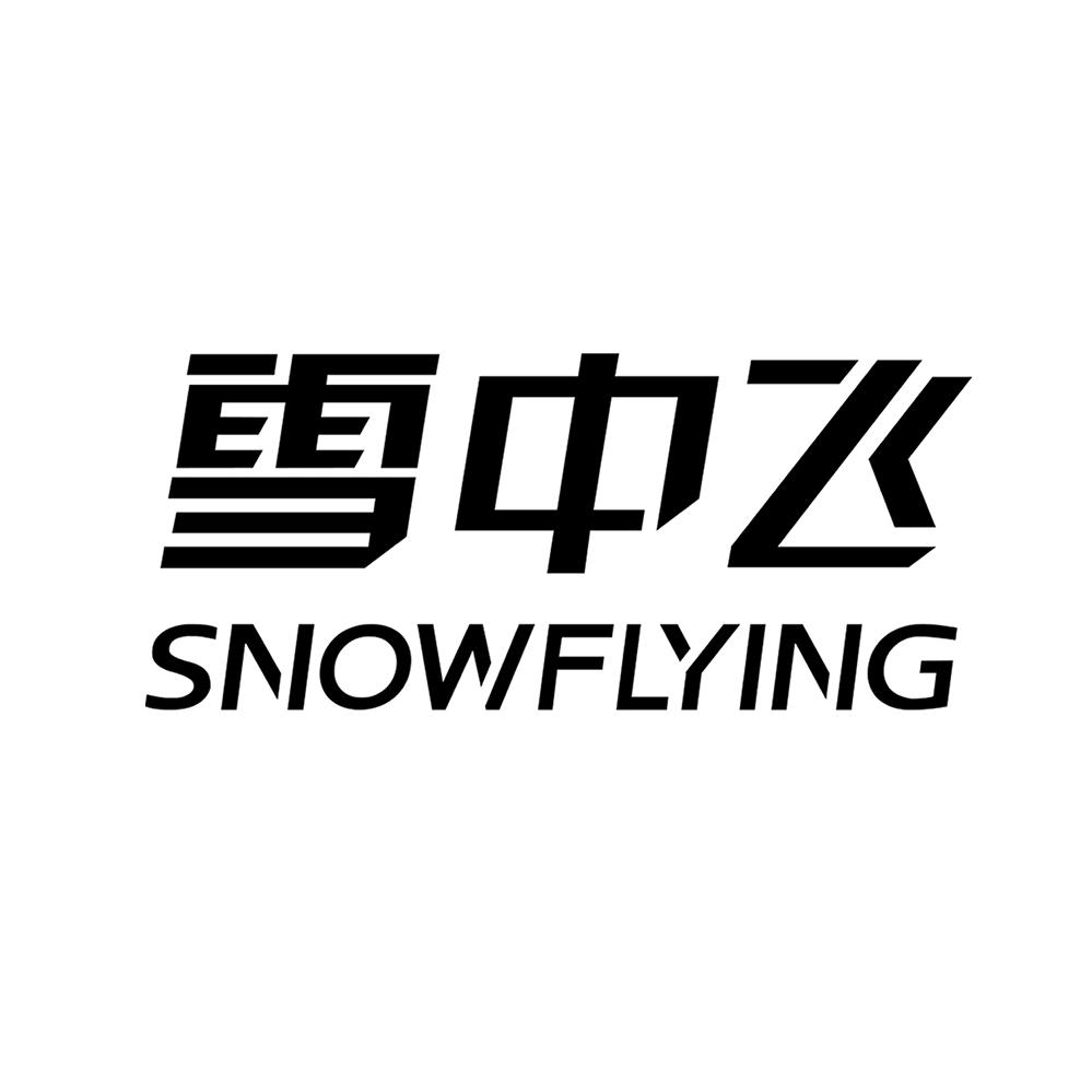 雪中飞绮梦轻奢羽绒服专卖店