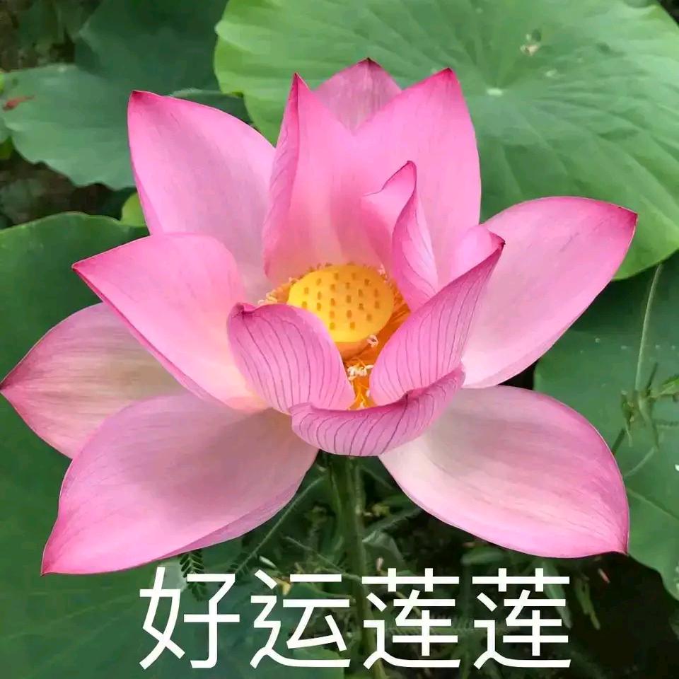 阿龙呀