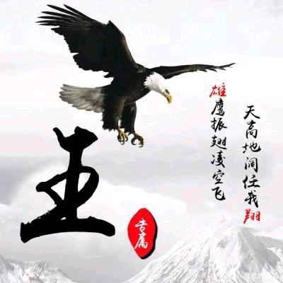 公大驾校王建军教练
