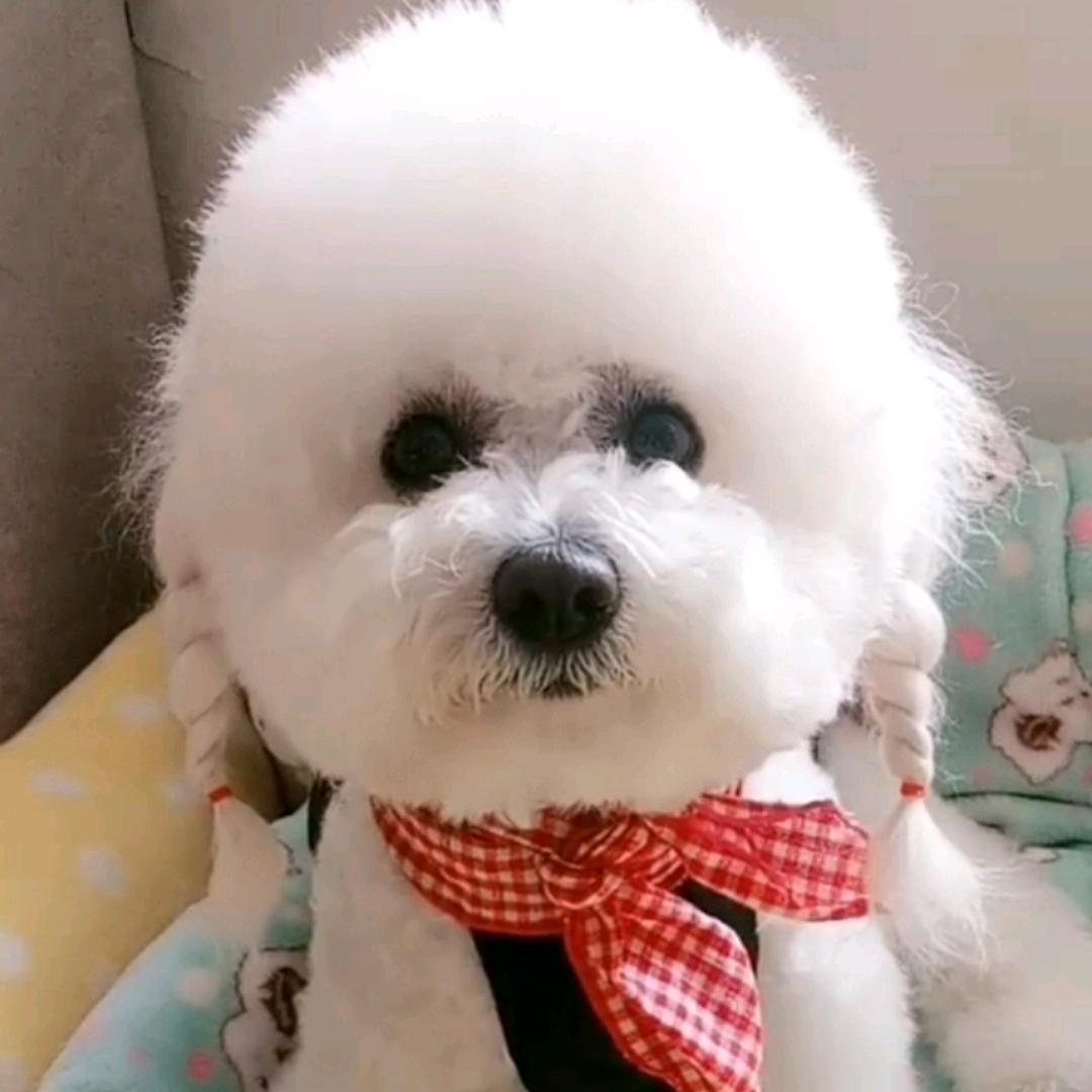 汤圆小宝贝