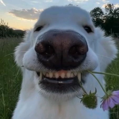k.