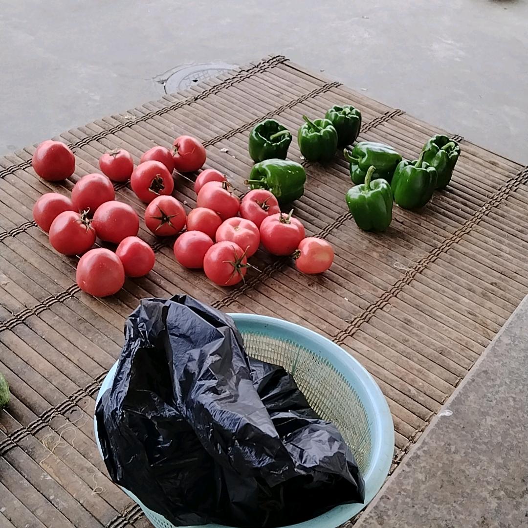 蔬菜搬运工