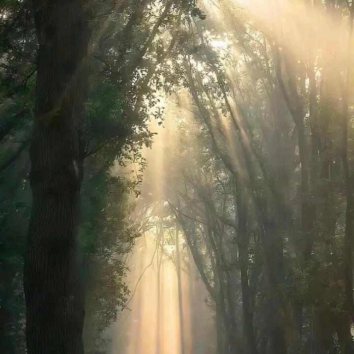缘分藏品