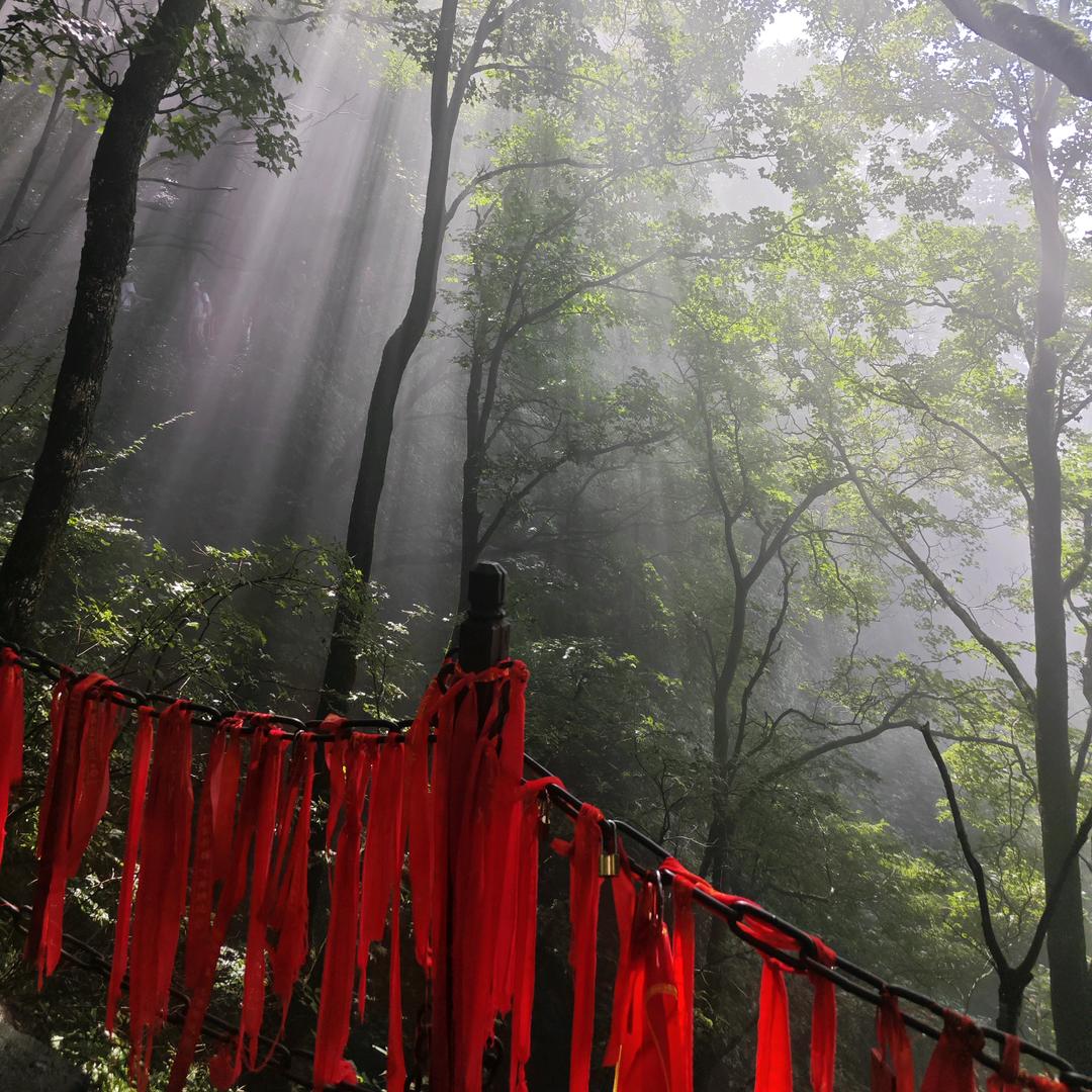 o̴̶̷᷄‸o̴̶̷̥᷅˶