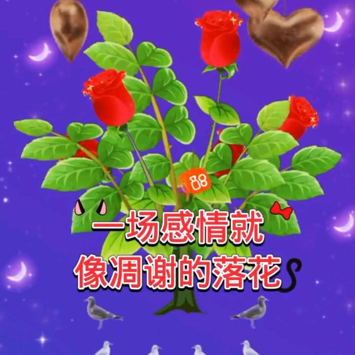 倾国倾城