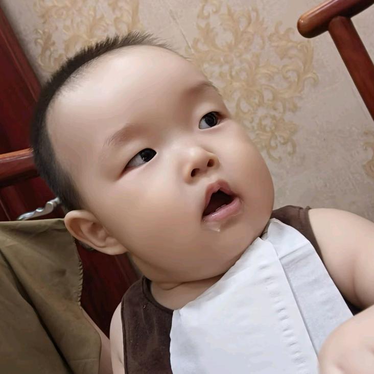 揍辅食的大脑门儿