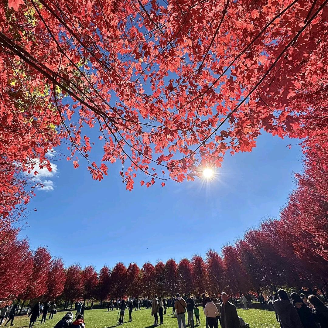 小李讲初中数学