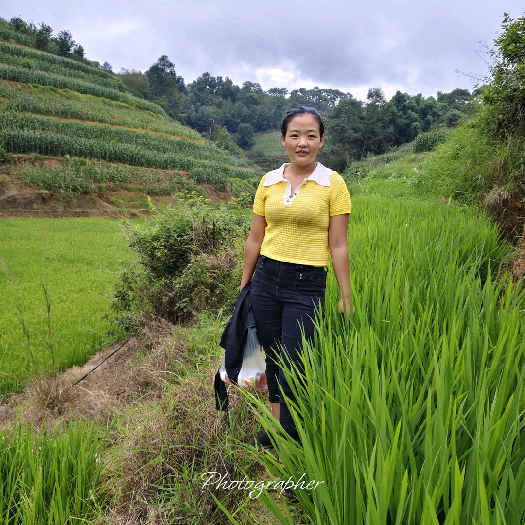 龙凌发孝农资（小段）