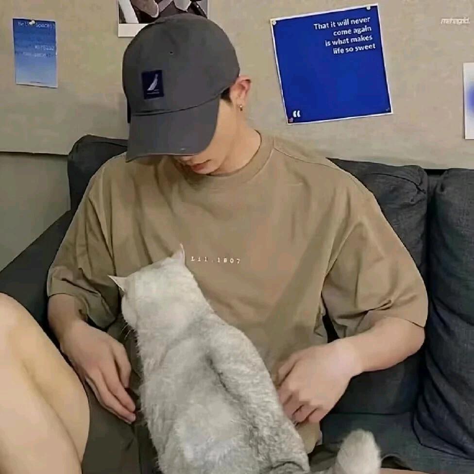 香菜大王（被流新点赞版）