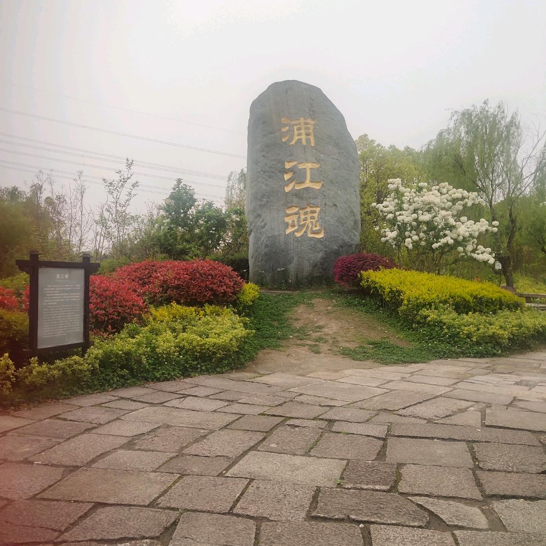 梦鸳