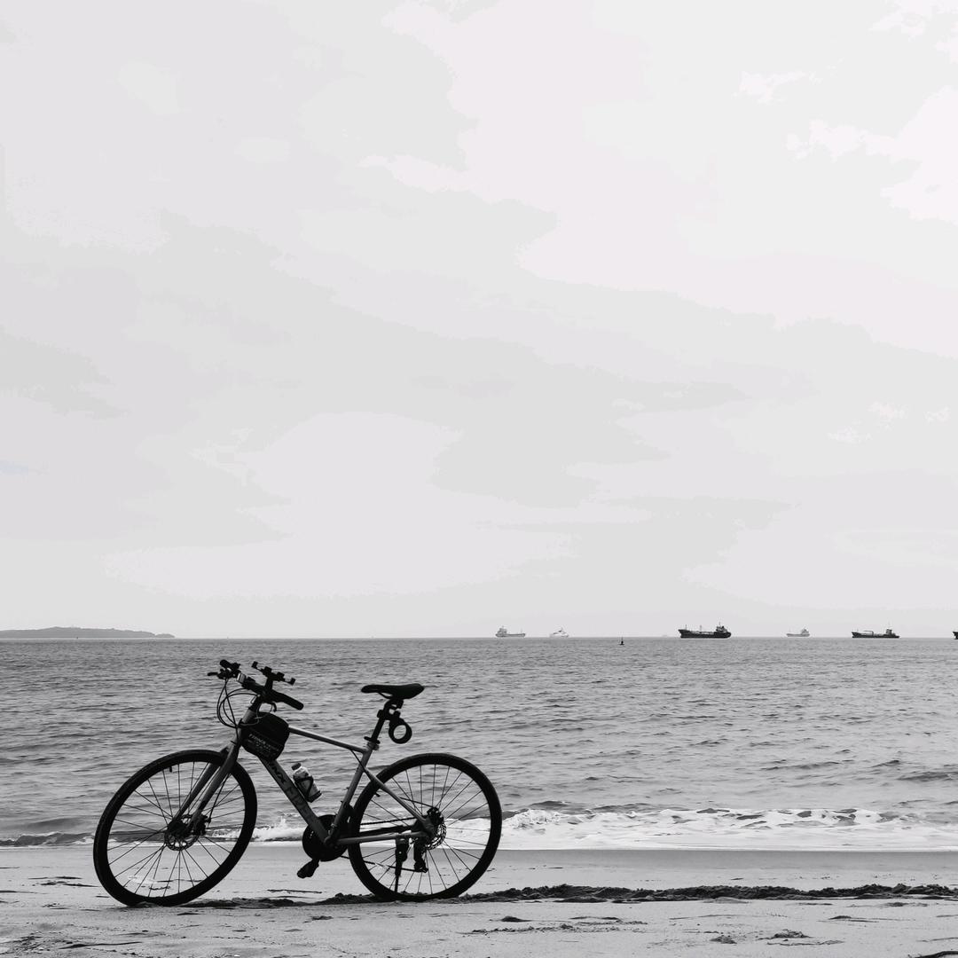 麥