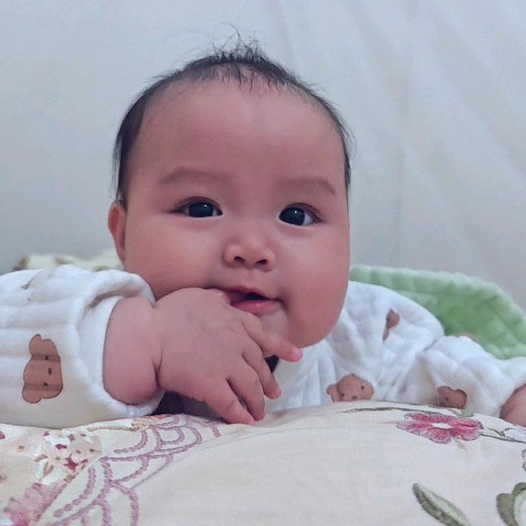 包子的安安